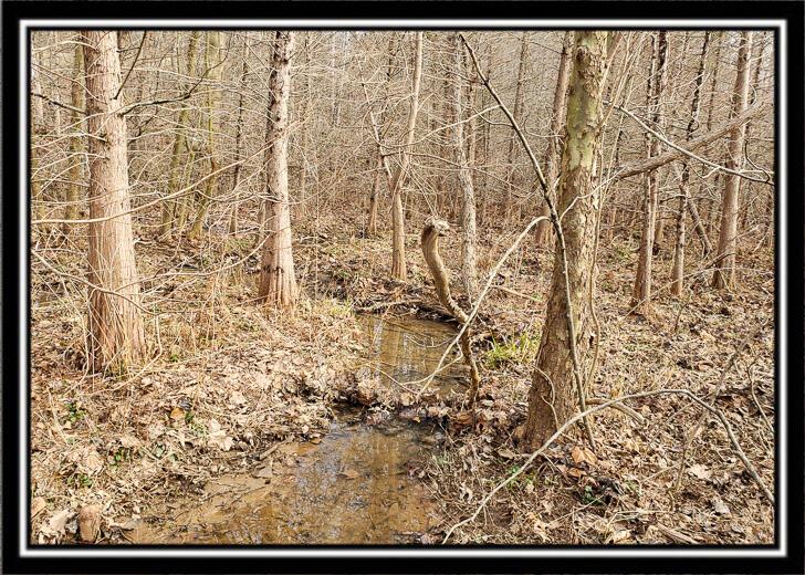 0 Edmundson Road Vinton, OH 45686 - Photo 53 of 60 CT-53