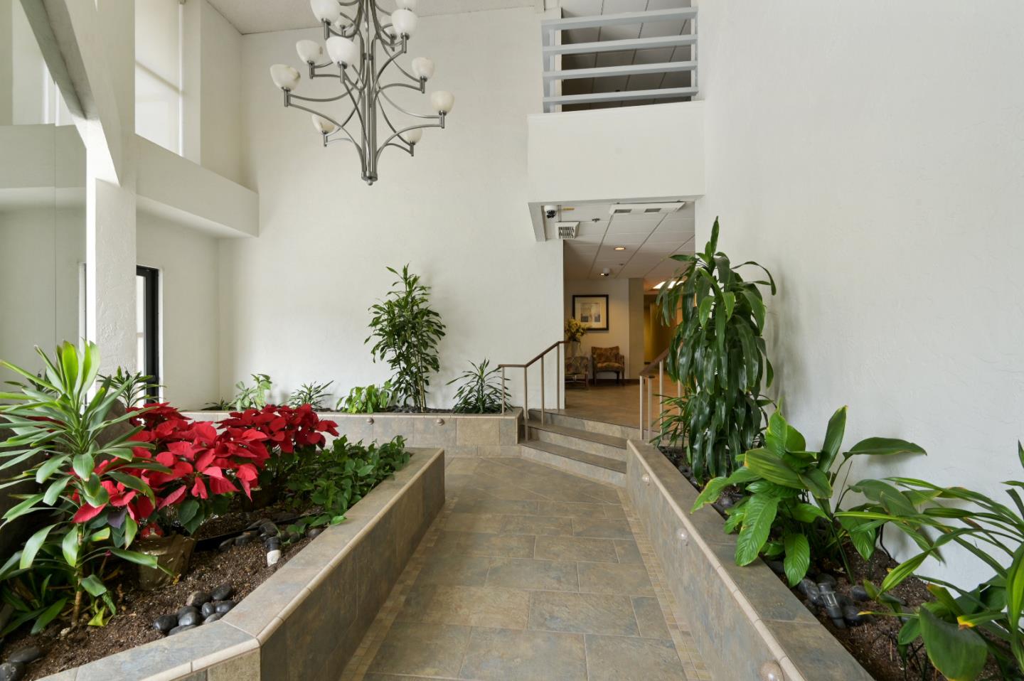 110 Park Road, Unit 502 Burlingame, CA 94010 - Photo 34 of 43 a flower garden with a flower pot