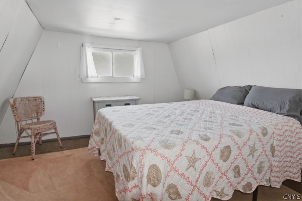 46931 Carnegie Bay Road Alexandria Bay, NY 13607 - Photo 22 of 50