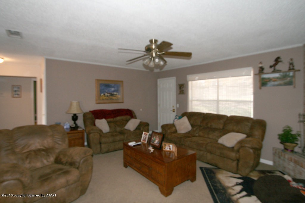 5100 Raindrop Lane Amarillo, TX 79110 - Photo 9 of 11 living room