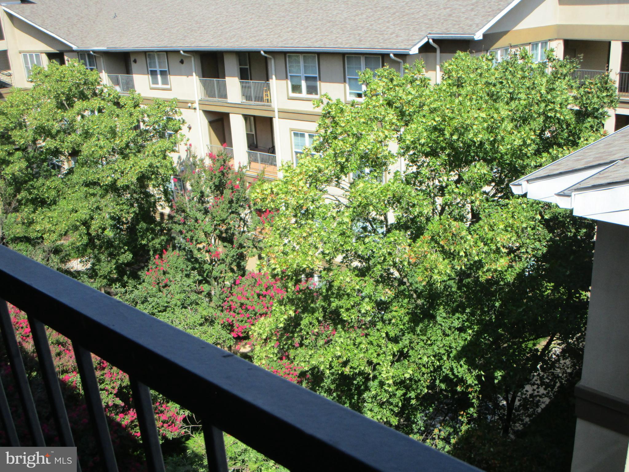 11750 Old Georgetown Road, Unit 2511 Rockville, MD 20852 - Photo 16 of 59