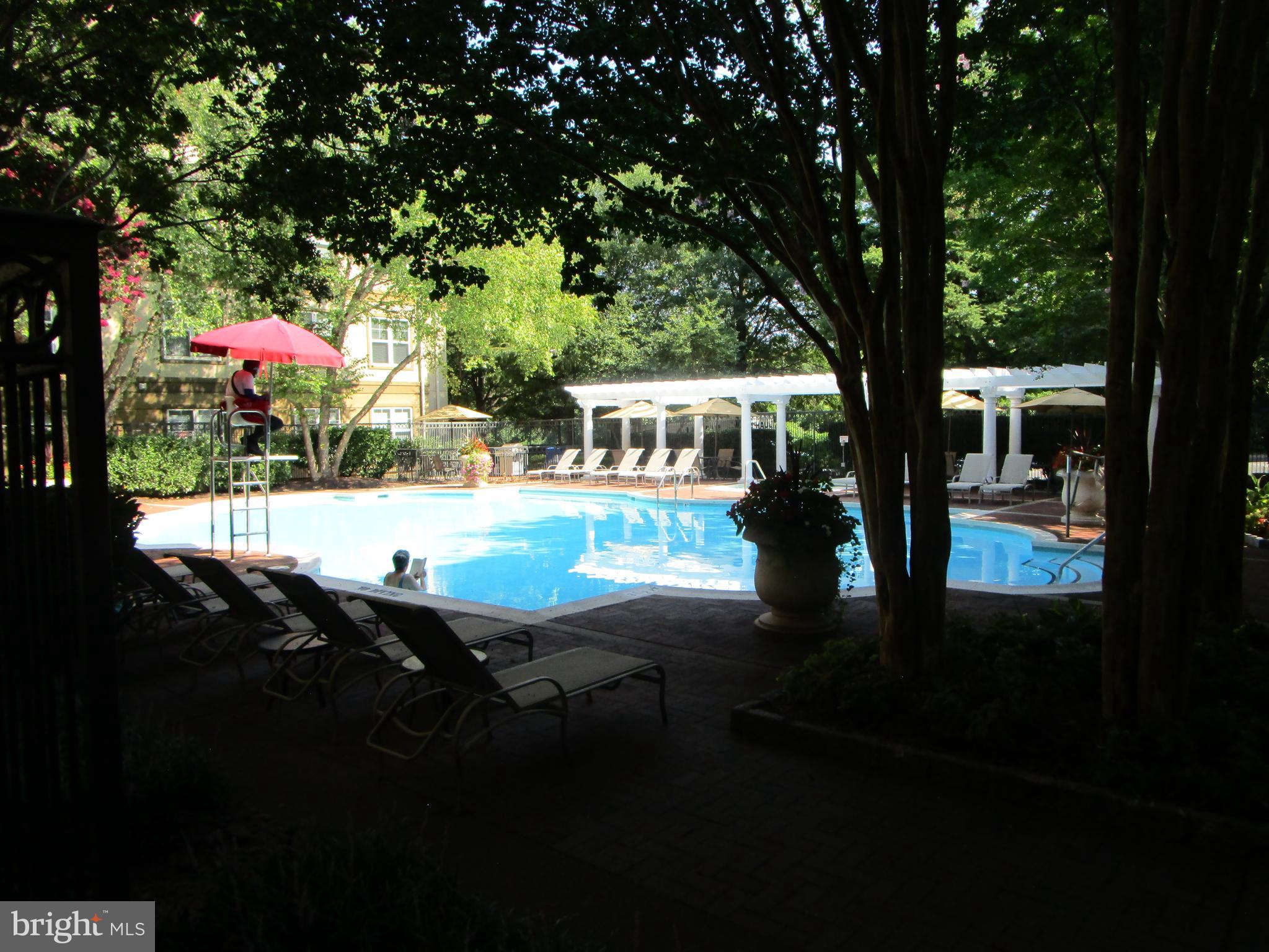 11750 Old Georgetown Road, Unit 2511 Rockville, MD 20852 - Photo 39 of 59