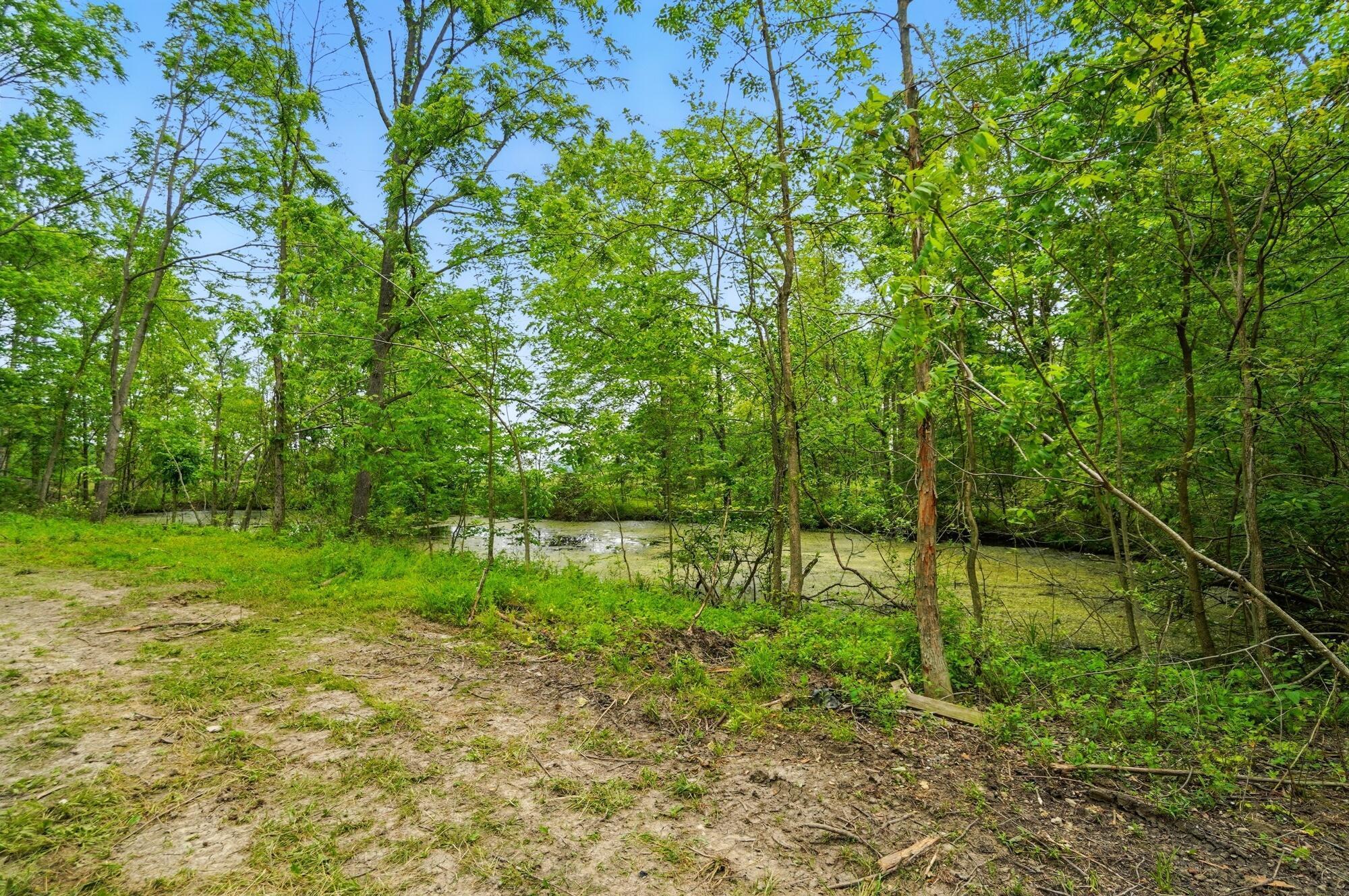 0 Riley Road Northwest Johnstown, OH 43031 - Photo 6 of 10 096