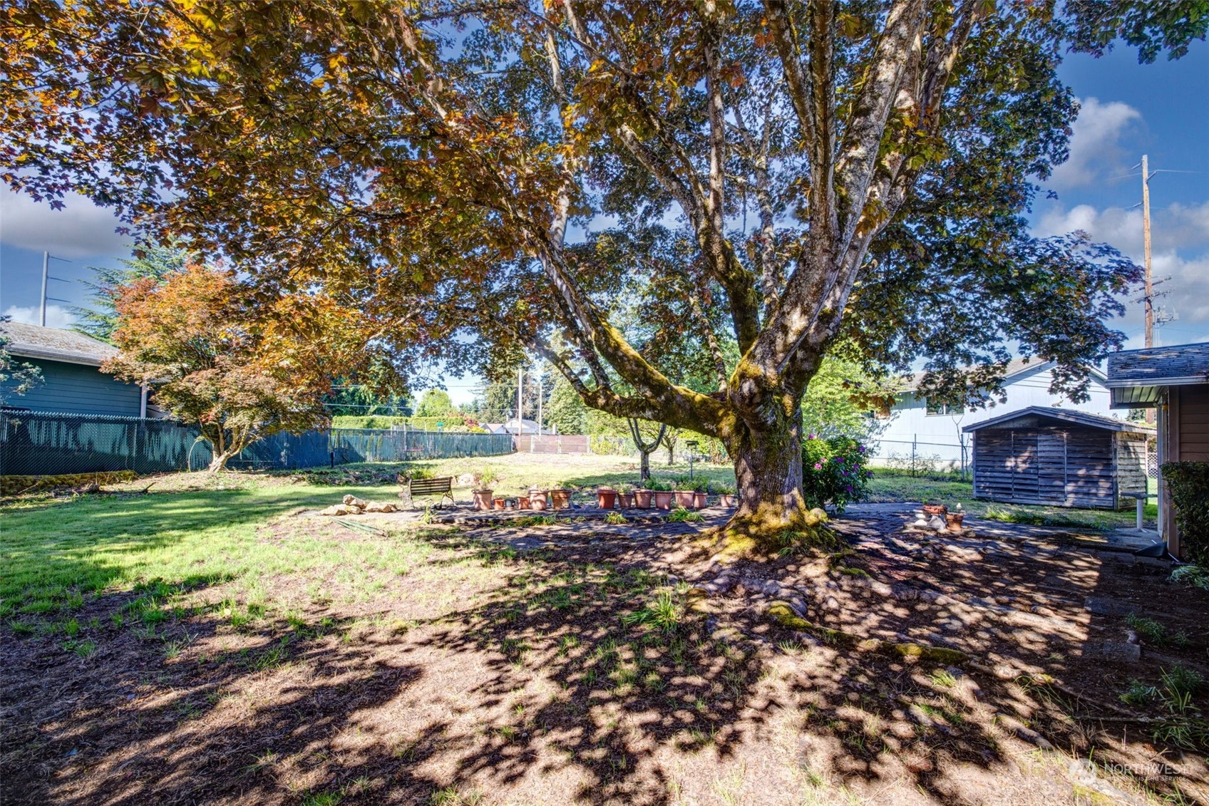 4109 Northeast 10th Place Renton, WA 98059 - Photo 23 of 27 a view of a yard with plants and trees