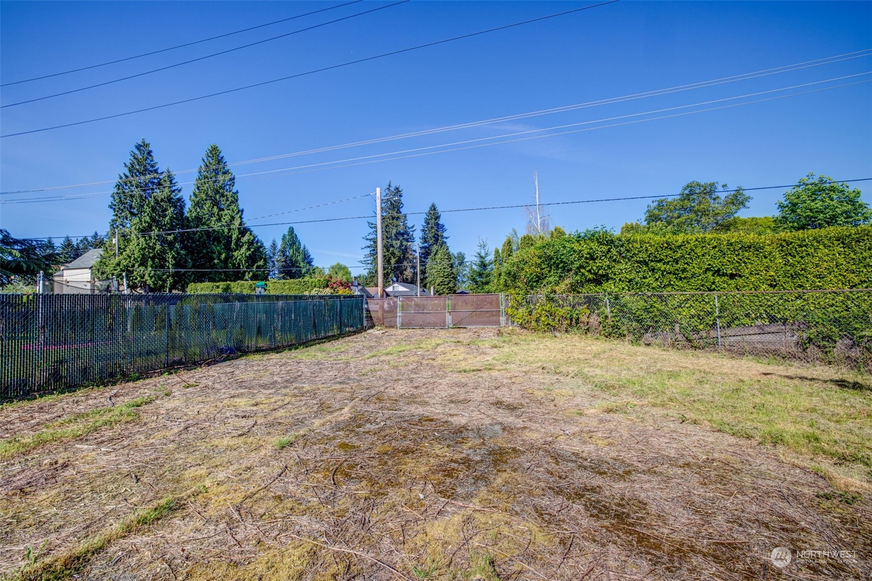 4109 Northeast 10th Place Renton, WA 98059 - Photo 27 of 27 a backyard of a house with lots of green space