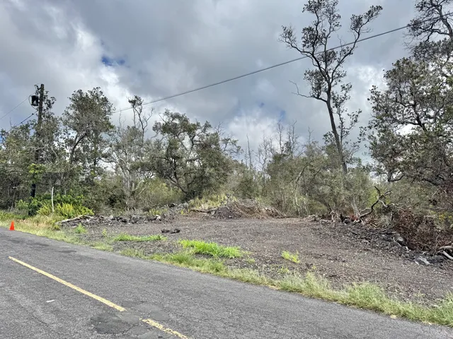a view of a dry yard with trees