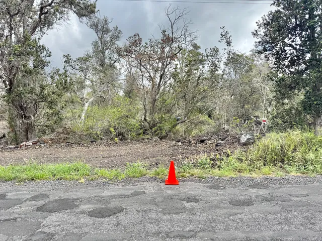 a view of small space with a tree