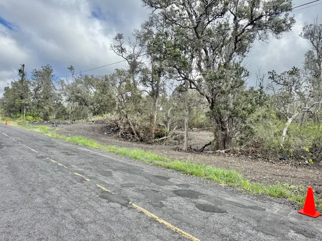 a view of a field with trees