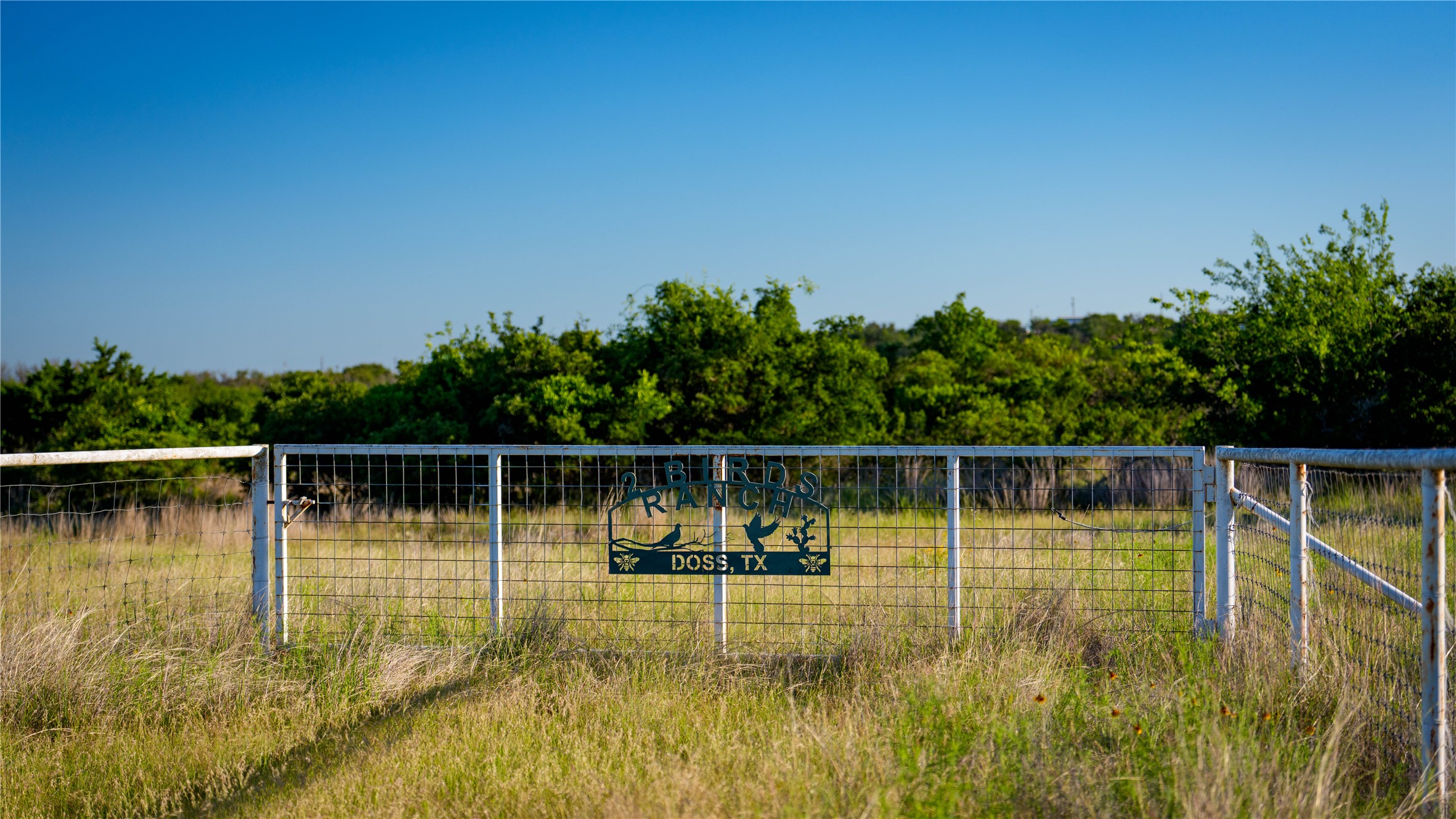 3276 Link Road Doss, TX 78618 - Photo 2 of 35 a view of a swimming pool with a lake view