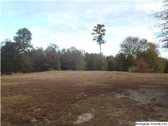 14066 Milldale Road Brookwood, AL 35444 - Photo 14 of 22