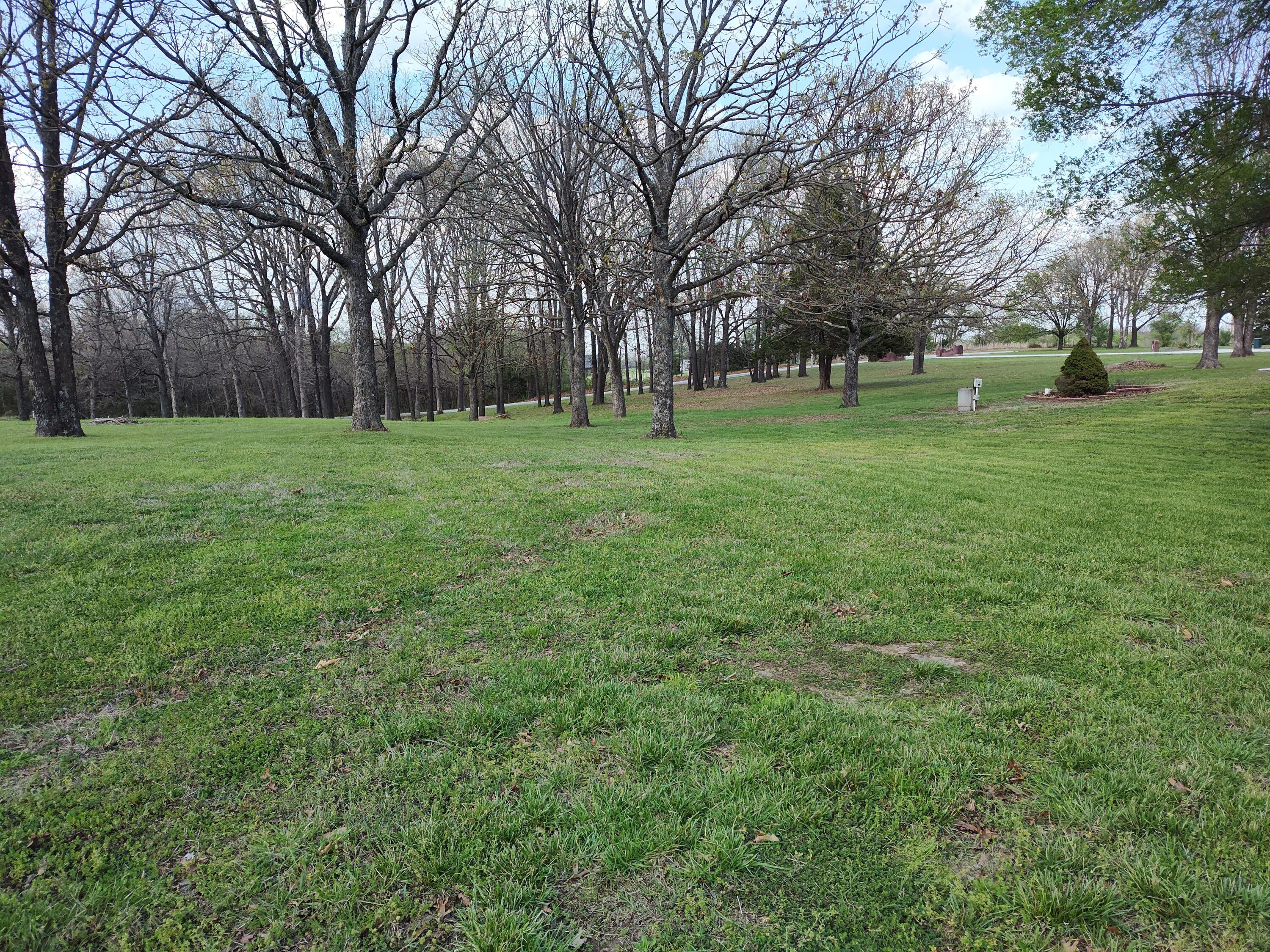 4107 South 118th Road Bolivar, MO 65613 - Photo 46 of 48 NE part of yard