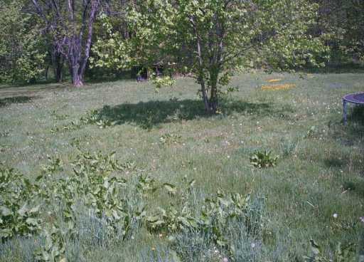 131 Wilson Road Prospect, PA 16052 - Photo 3 of 7 Land.