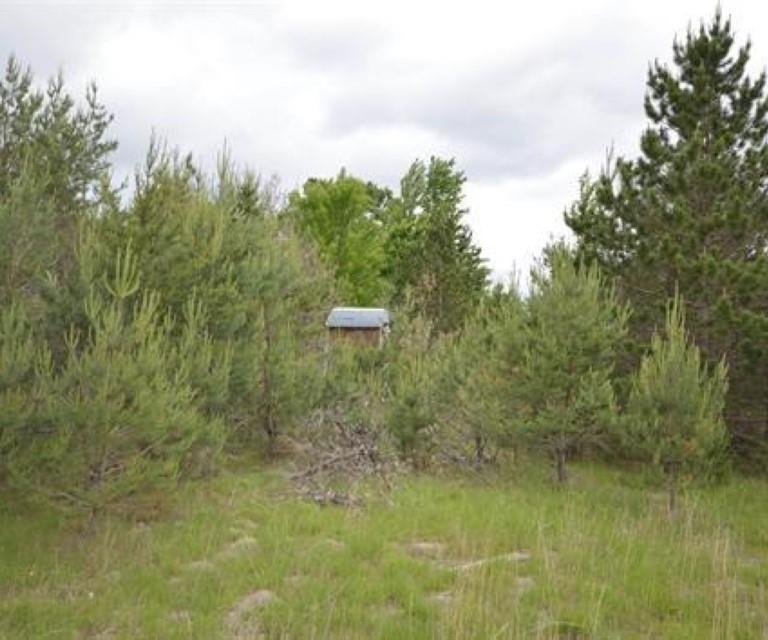 0 43 North 43 1/2 Road, Unit LOT: B Manton, MI 49663 - Photo 5 of 12