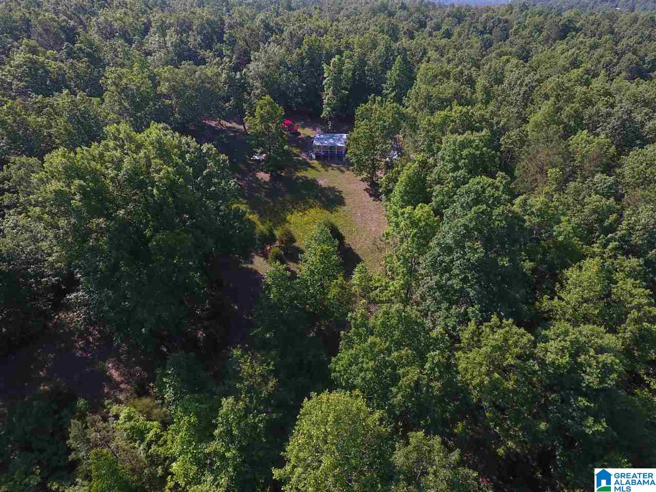 Sunhill Lane, Unit 14 Oneonta, AL 35121 - Photo 3 of 27