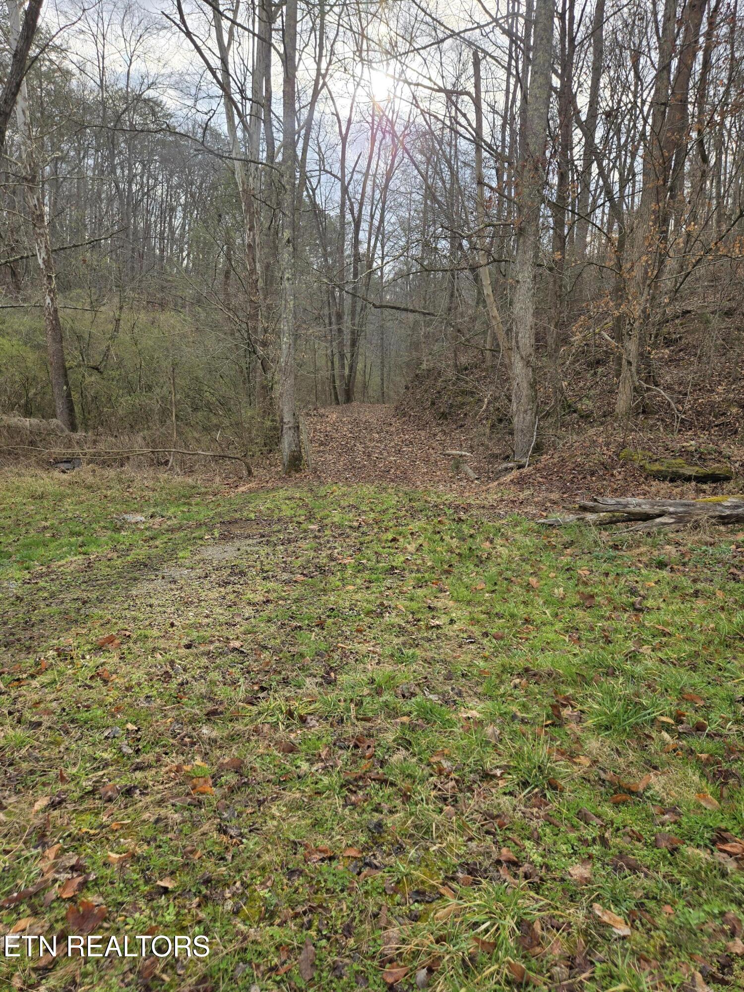 165 Happy Hollow Road Madisonville, TN 37354 - Photo 4 of 17 20260305_090526