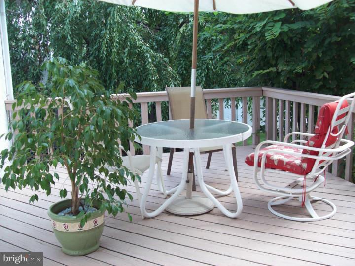 258 North Ridge Avenue Ambler, PA 19002 - Photo 13 of 15 Deck
