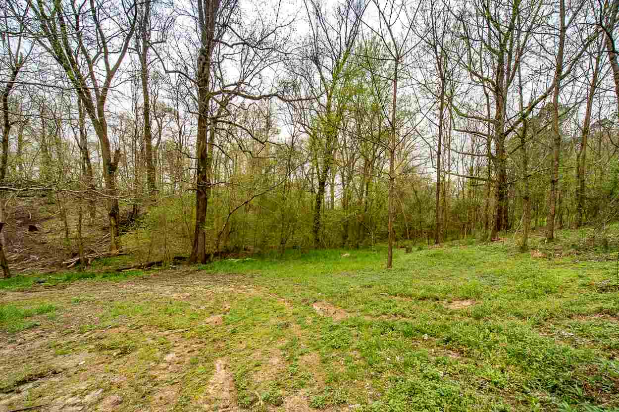 129 Walnut Road Munford, TN 38058 - Photo 5 of 25 Gallery Image 5