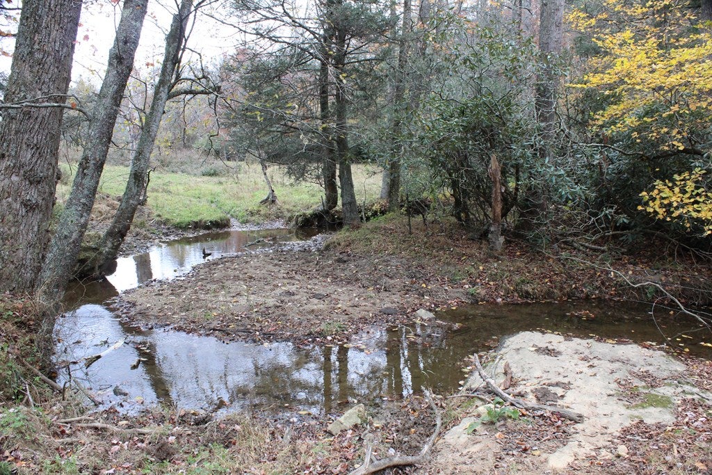 Tbd Terry's Mill Road, Unit 121A61 Laurel Fork, VA 24352 - Photo 34 of 71 Gallery Image 34