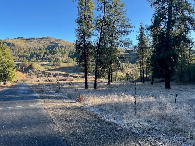 $99,000 | 31824 Blue Grouse Drive East, Davenport, WA 99122