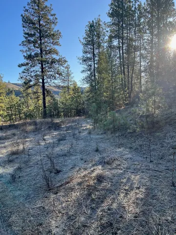 $99,000 | 31824 Blue Grouse Drive East, Davenport, WA 99122