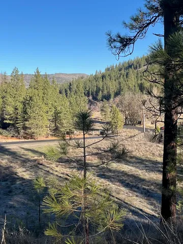 $99,000 | 31824 Blue Grouse Drive East, Davenport, WA 99122