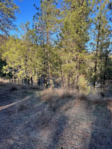 $99,000 | 31824 Blue Grouse Drive East, Davenport, WA 99122