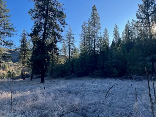 $99,000 | 31824 Blue Grouse Drive East, Davenport, WA 99122