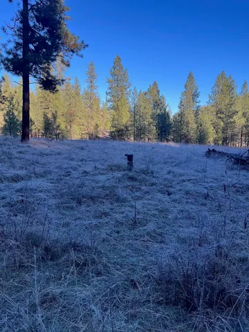 $99,000 | 31824 Blue Grouse Drive East, Davenport, WA 99122