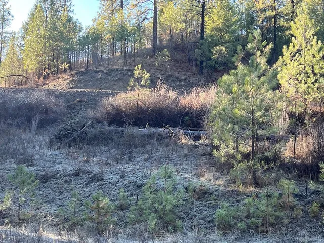 $99,000 | 31824 Blue Grouse Drive East, Davenport, WA 99122