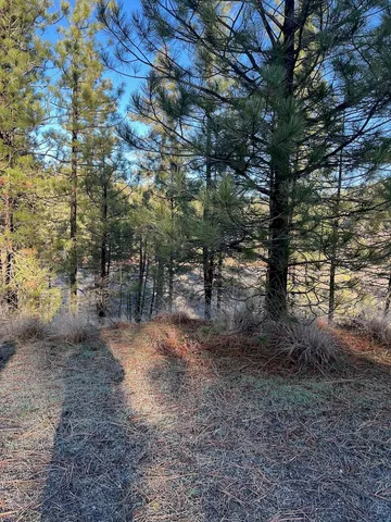 $99,000 | 31824 Blue Grouse Drive East, Davenport, WA 99122