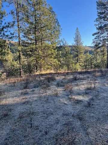 $99,000 | 31824 Blue Grouse Drive East, Davenport, WA 99122