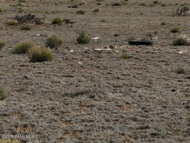 363- Via Dolorosa Road Seligman, AZ 86337 - Photo 5 of 6 a view of a dry yard with green space