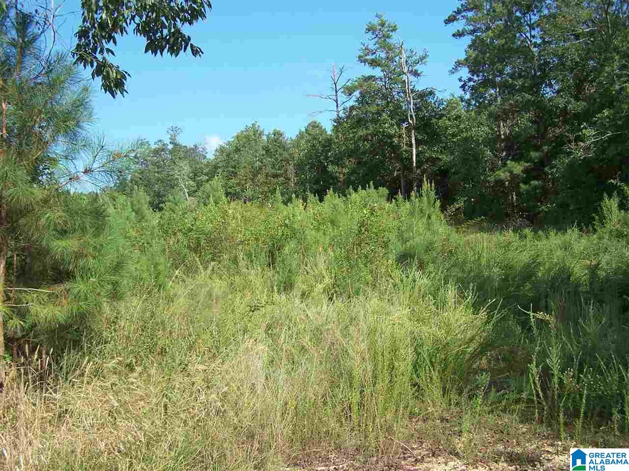 0 Jackson Trail, Unit 140 ACRES Altoona, AL 35952 - Photo 44 of 50