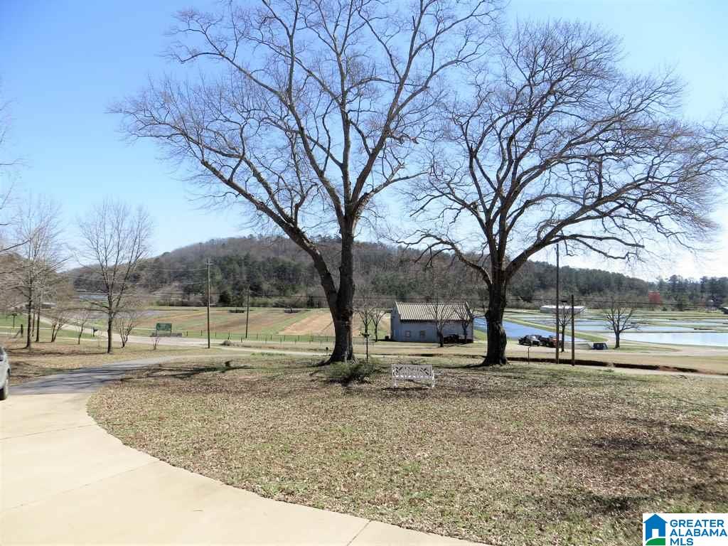 1899 Fish Hatchery Road Eastaboga, AL 36260 - Photo 41 of 43
