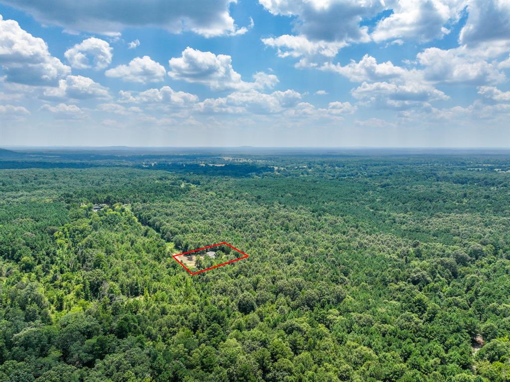 211 3900th Road Gilmer, TX 75644 - Photo 25 of 30 a view of a big yard with lots of green space and trampoline
