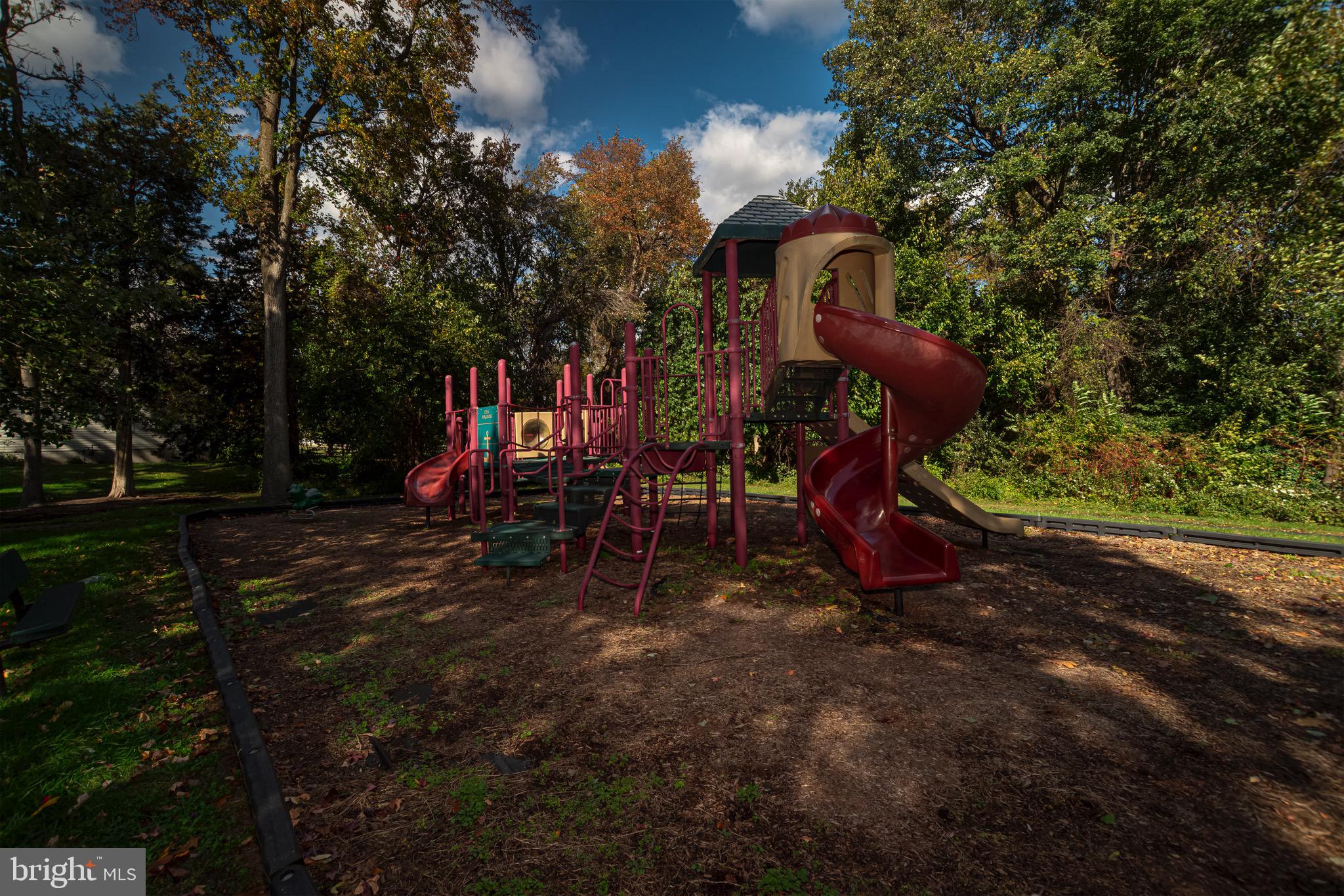 27 Basalt Street Townsend, DE 19734 - Photo 45 of 46 a view of a park with slides