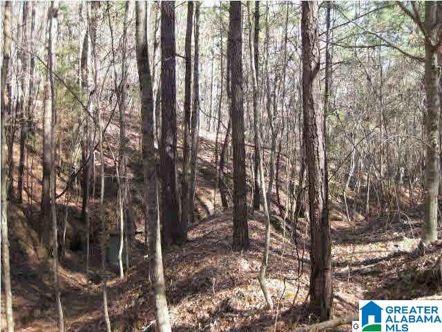 7525 Highway 13 Helena Al Helena, AL 35080 - Photo 5 of 6