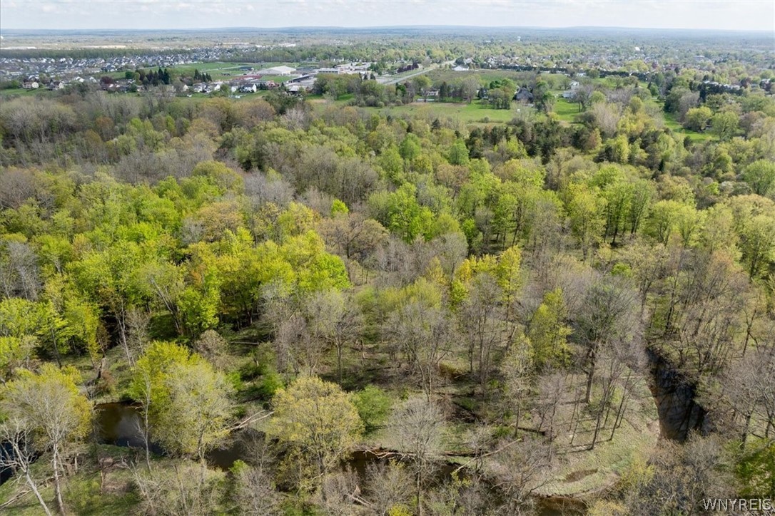 Harris Hill Rd Vl Road East Lancaster, NY 14086 - Photo 8 of 17