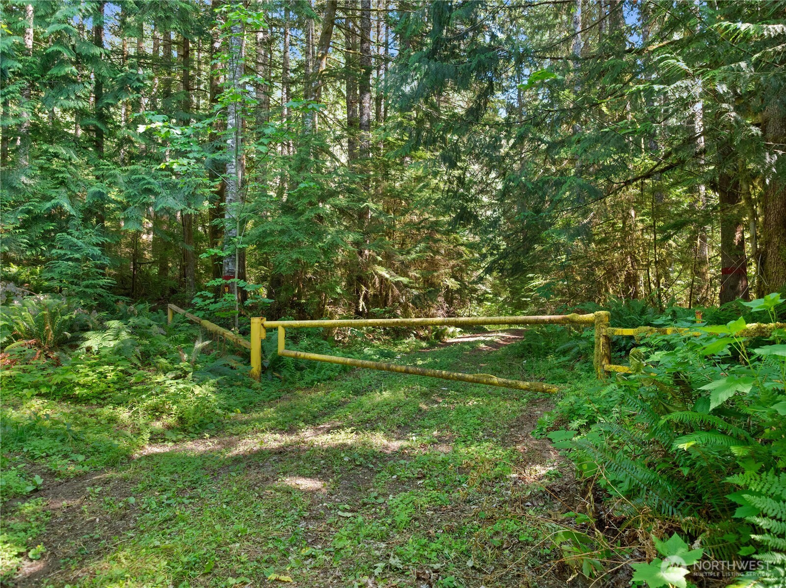 2 Skinner Road Randle, WA 98377 - Photo 18 of 28 a view of a park