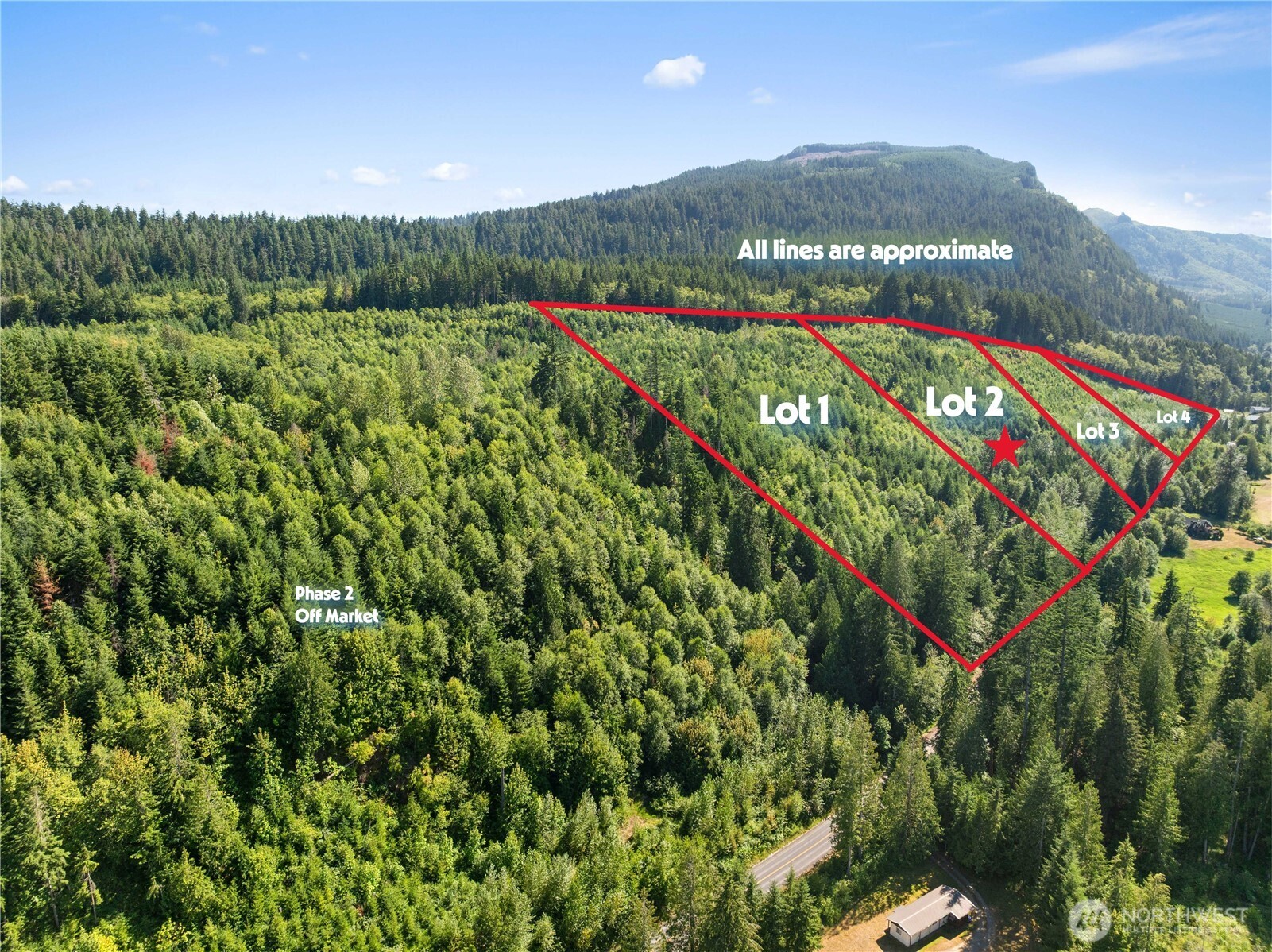 2 Skinner Road Randle, WA 98377 - Photo 24 of 28 a view of a lush green forest with lots of trees