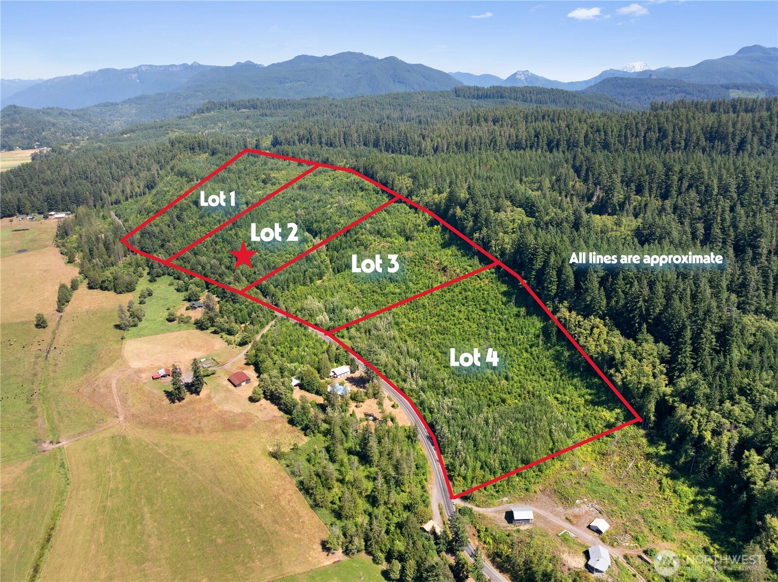 2 Skinner Road Randle, WA 98377 - Photo 3 of 28 a view of a lush green hillside and a houses