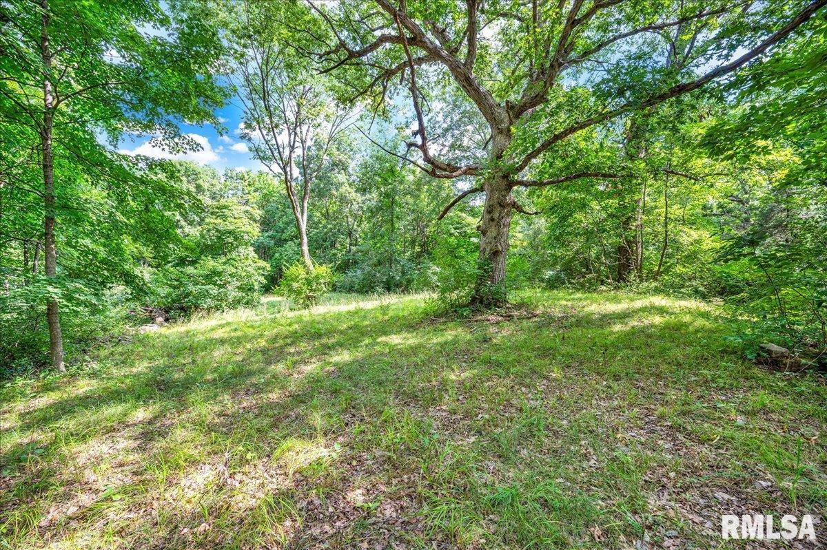 North Ivy Lake Road Chillicothe, IL 61523 - Photo 6 of 27
