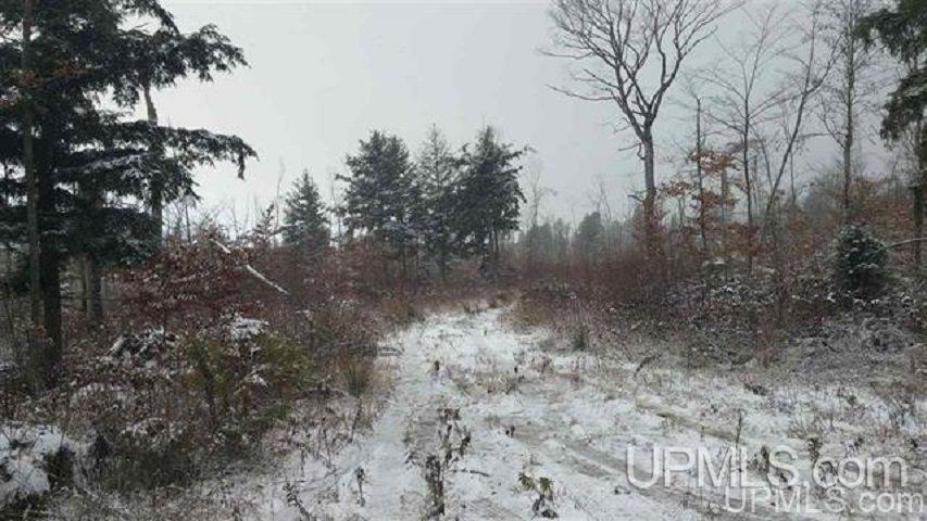 1787 Co Road Shingleton, MI 49884 - Photo 1 of 4