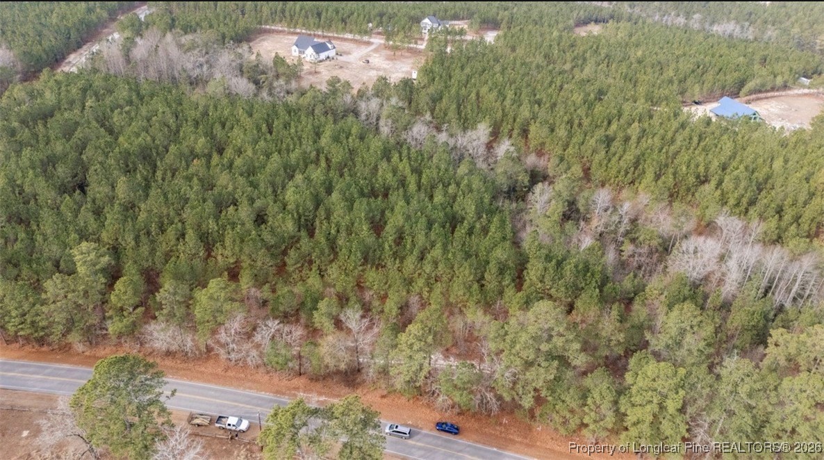 1280 McLauchlin Road Vass, NC 28394 - Photo 5 of 9