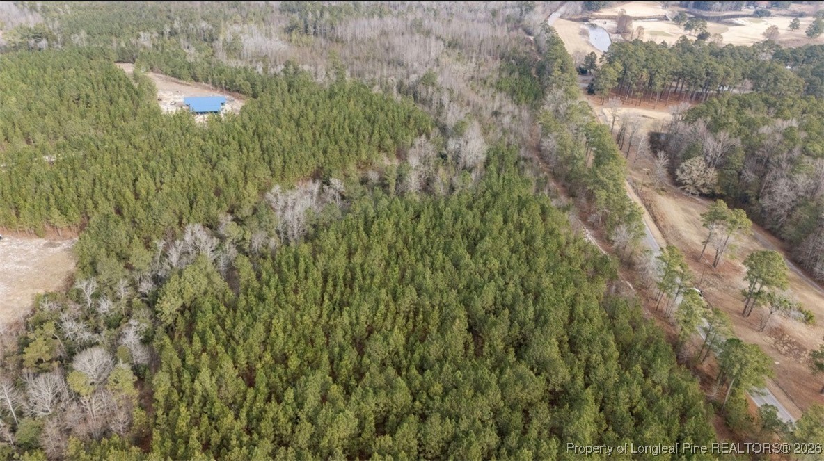 1280 McLauchlin Road Vass, NC 28394 - Photo 6 of 9