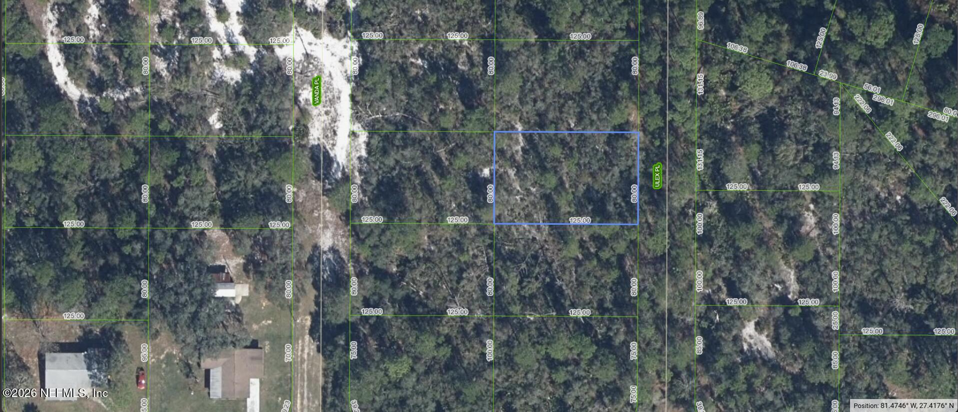 6813 Ulex Sebring, FL 33875 - Photo 4 of 6 a view of a forest with a tree