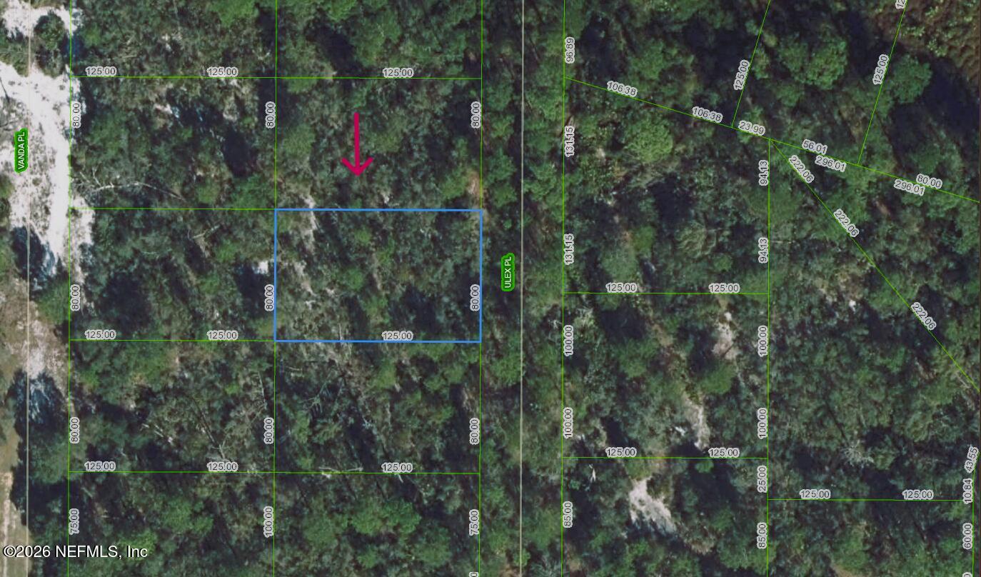 6813 Ulex Sebring, FL 33875 - Photo 5 of 6 a view of a forest