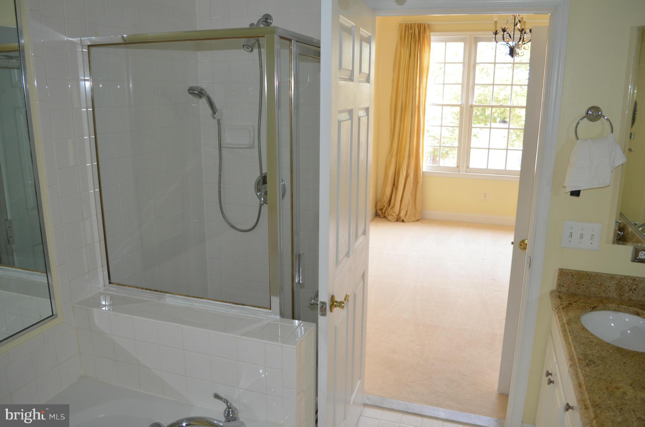 302 South Payne Street Alexandria, VA 22314 - Photo 16 of 30 Bath (Master)
