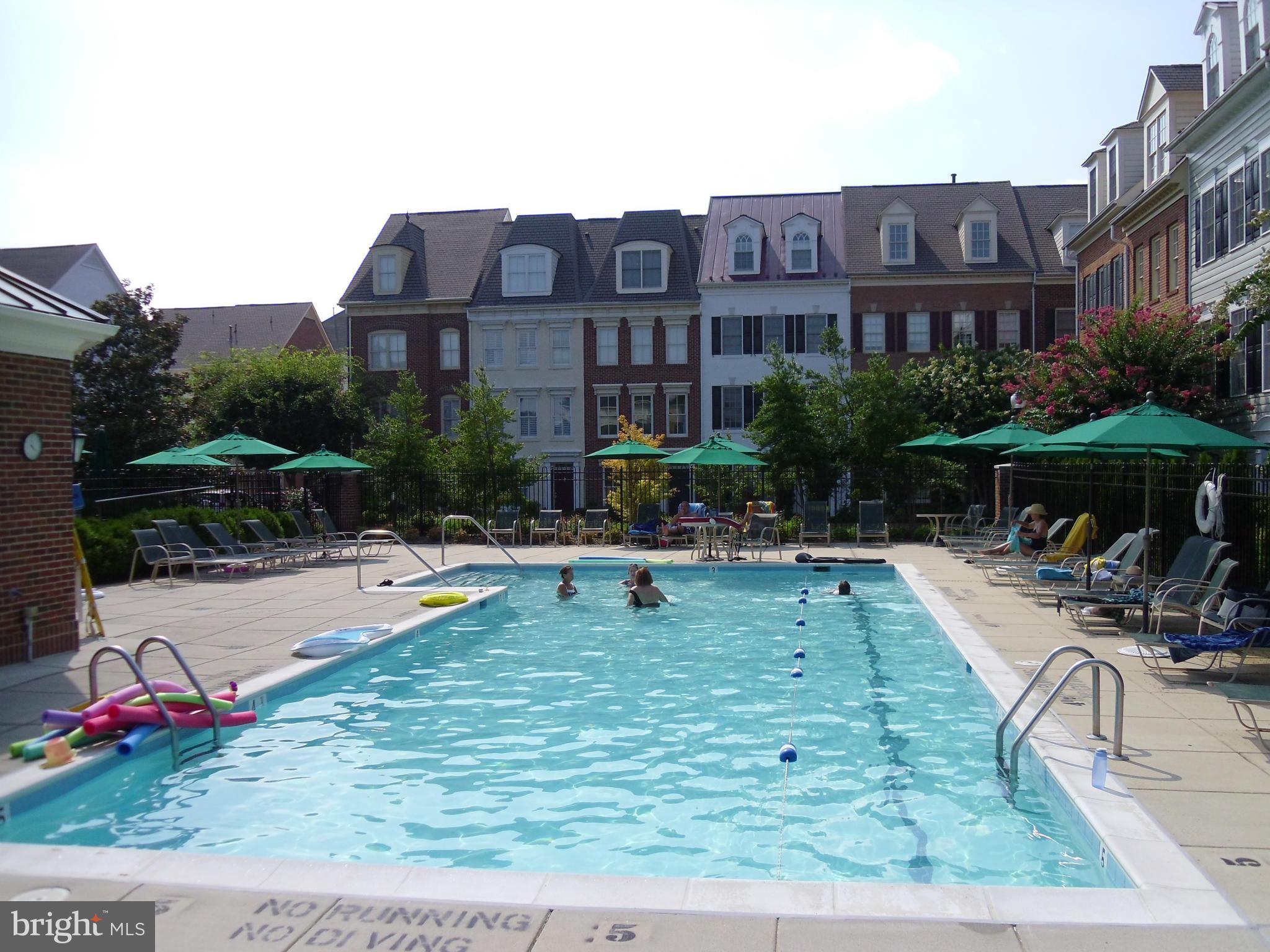 302 South Payne Street Alexandria, VA 22314 - Photo 25 of 30 Pool