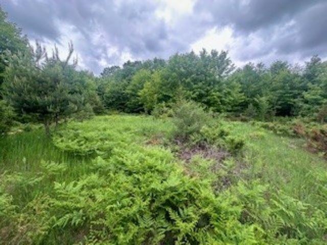 V/l McKinney Road Central Lake, MI 49622 - Photo 9 of 29